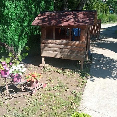 Tera Nova Villa Vrdnik Exteriör bild
